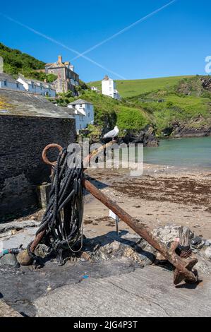 Un gabbiano arroccato su una vecchia arrugginita ancora nel grazioso villaggio di pescatori di Port Isaac, Cornovaglia, Regno Unito, posizione della serie drammatica ITV Doc Martin. Foto Stock