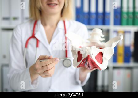 Modello medico dell'anatomia dell'articolazione dell'anca in clinica Foto Stock