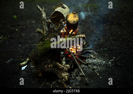 Falò nei boschi. Bruciando di rami asciutti. Legno che brucia. Foto Stock