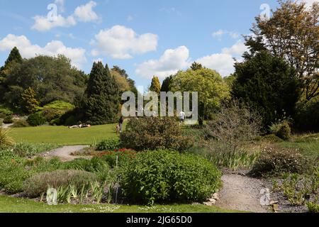 Sir Harold Hillier Gardens Ampfield Romsey Hampshire Inghilterra Foto Stock