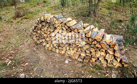 Preparazione di legna da ardere per l'inverno. Pile di legna da ardere nella foresta. Legna da ardere di fondo. Alberi segati e tritati. Tronchi di legno impilati.. Legna da ardere Foto Stock