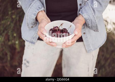 Mani di una donna anziana che tiene una ciotola di ciliegie mature Foto Stock