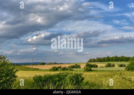 Pulkau, Landwirtschaft, Hügelland, Feld, Waldviertel, Niederösterreich, Felder, Acker, Himmel, Wolken, flach, ruhig, still, abgelegen, einsam, Natur, Foto Stock