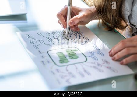 Business Mind Mapping e Brainstorming. Formazione Mindmap Foto Stock