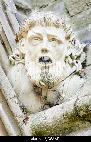 Gargoyle scolpito in pietra, un getto d'acqua grottesco testa sulla grondaia della cattedrale medievale a Salisbury, Inghilterra. Foto Stock