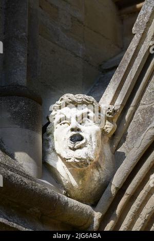 Gargoyle scolpito in pietra, un getto d'acqua grottesco testa sulla grondaia della cattedrale medievale a Salisbury, Inghilterra. Foto Stock