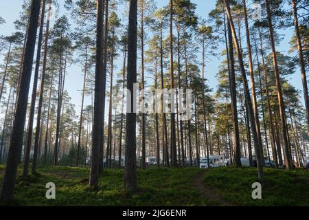 Regione di Leningrad, Russia - Giugno 2022. Festival di case mobili in foresta di conifere. Ci sono molte auto diverse per viaggiare, rimorchi e minivan Foto Stock