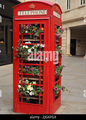 Chiosco telefonico riutilizzato con esposizione di fiori estivi, Bath, Somerset. Temi: Riutilizzo, riciclaggio, evoluzione, cambiamento, pensiero nuovo Foto Stock