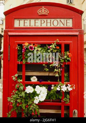 Chiosco telefonico riutilizzato con esposizione di fiori estivi, Bath, Somerset. Temi: Riutilizzo, riciclaggio, evoluzione, cambiamento, pensiero nuovo Foto Stock