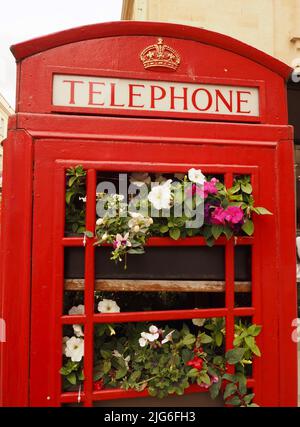 Chiosco telefonico riutilizzato con esposizione di fiori estivi, Bath, Somerset. Temi: Riutilizzo, riciclaggio, evoluzione, cambiamento, pensiero nuovo Foto Stock