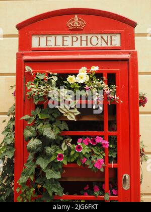 Chiosco telefonico riutilizzato con esposizione di fiori estivi, Bath, Somerset. Temi: Riutilizzo, riciclaggio, evoluzione, cambiamento, pensiero nuovo Foto Stock