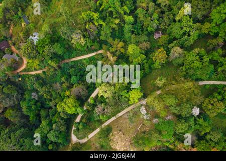 Vista dall'alto di una strada rurale curva nella foresta pluviale nord di Chiang dao, Thailandia Foto Stock