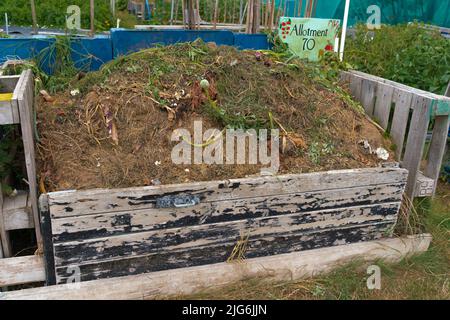 Assegnazione, verdura, cerotto, mucchio di composto, cerotto di cavolo, Pianificazione, layout, obiettivi organici, piante che si sviluppano, raccolta, giardinaggio organico, brassici. Foto Stock