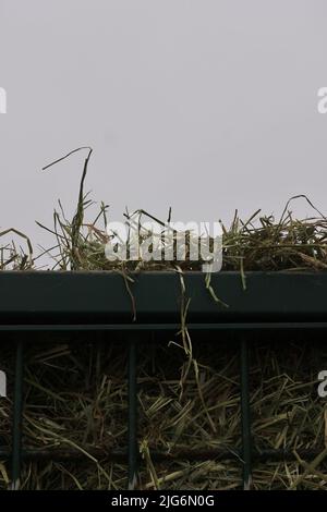 Enorme cestino di paglia giù sulla fattoria. Foto Stock