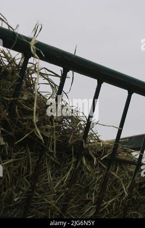 Enorme cestino di paglia giù sulla fattoria. Foto Stock