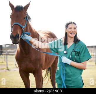 HES come fit come un fiddle. Shot di un giovane e attraente veterinario in piedi da solo e frequentando un cavallo in una fattoria. Foto Stock