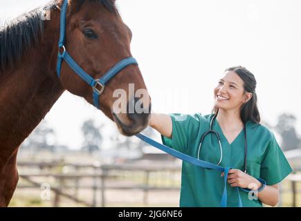 Beh, hai corse in un istante. Shot di un giovane e attraente veterinario in piedi da solo e frequentando un cavallo in una fattoria. Foto Stock