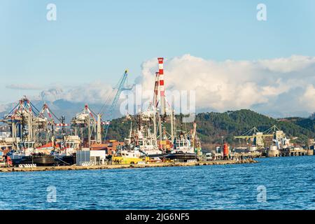 Porto internazionale di la Spezia (molo commerciale), banchina con un gruppo di rimorchiatori e grandi gru a portale per lo scarico e il carico di container. Foto Stock