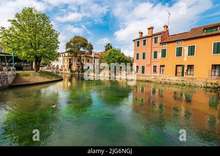 Paesaggio urbano del centro di Treviso con il fiume Sile e la strada chiamata Via Pescheria (via del mercato del pesce e isola). Veneto, Italia, Europa. Foto Stock