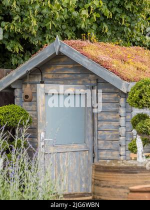 Capannone da giardino in legno grigio-blu con tetto in giardino nel Regno Unito. Foto Stock