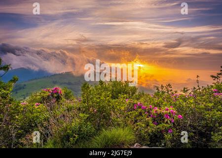 Roan Mountain Sunset sopra Rhododendron fiori giardini e nuvole tempesta Foto Stock