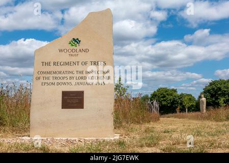 Il Reggimento degli alberi (2017-2019) e la testimonianza (2016-2021) sculture a Langley vale Centenary Wood a Epsom, Surrey, Inghilterra, Regno Unito Foto Stock