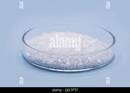 cloruro di sodio in capsule di petri, noto come sale o sale da tavola, conservante di alimenti importante e condimento popolare, isolato su sfondo blu Foto Stock