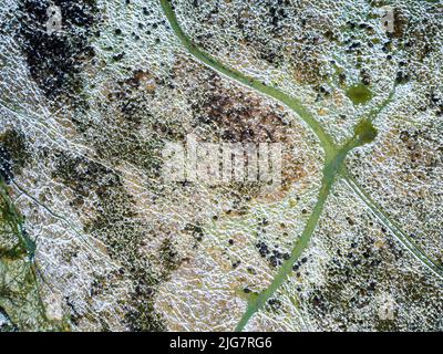 Una vista aerea drone di sentieri escursionistici coperti di neve nelle montagne dello Shropshire Foto Stock