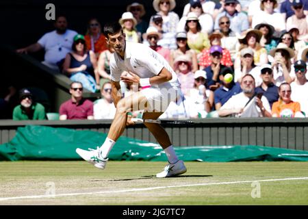 Londra, UK, 8th luglio 2022: Novak Djokovic dalla Serbia è in azione durante i campionati di Wimbledon 2022 all'All England Lawn Tennis and Croquet Club di Londra. Credit: Frank Molter/Alamy Live news Foto Stock