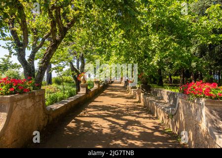 Sentiero pittoresco attraverso Villa Cimbrone a Ravello, Campania, Italia Foto Stock