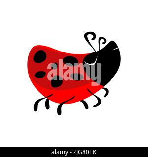 Clipart vettoriale di animali e insetti isolati su sfondo bianco Illustrazione Vettoriale