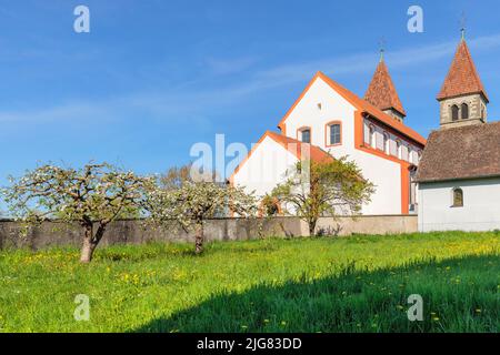 Chiesa di San Pietro e Paolo, Niederzell, Patrimonio dell'Umanità dell'UNESCO, Isola di Reichenau, Lago di Costanza, Baden Wurttemberg, Germania Foto Stock