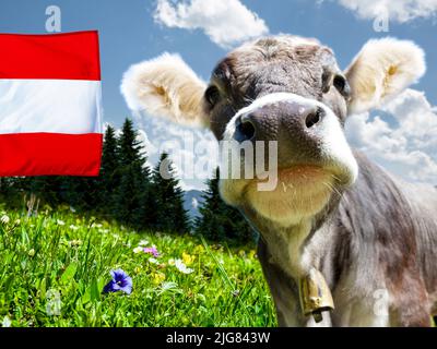 Mucca con bandiera austriaca e paesaggio apen in Austria Foto Stock