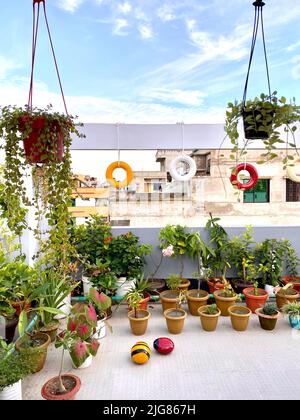 Un balcone sul tetto dell'edificio con molti vasi di fiori Foto Stock