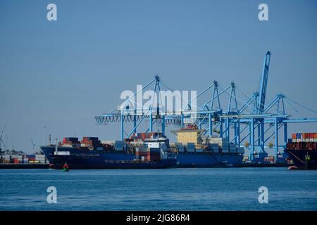 ROTTERDAM, PAESI BASSI - nuovo terminal container con una nave container molto grande e in primo piano una nave container più piccola sul Maas Foto Stock