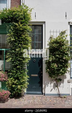 Bella porta d'ingresso ornata su una casa nei Paesi Bassi Foto Stock