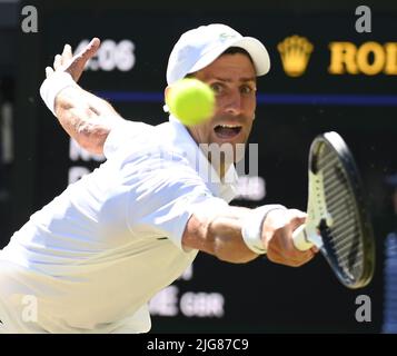Londra, GBR. 07th luglio 2022. London Wimbledon Championships Day 08/07/2022 Novak Djokovic (SRB) semi-final match Credit: Roger Parker/Alamy Live News Foto Stock