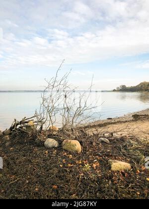 Holnis punto, pietre, spiaggia, Holnis, Glücksburg, Schleswig-Holstein, paesaggio, autunno, Germania settentrionale, Germania Foto Stock