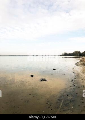 Holnis punto, pietre, spiaggia, Holnis, Glücksburg, Schleswig-Holstein, paesaggio, autunno, Germania settentrionale, Germania Foto Stock