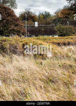 Holnis punta, casa, erbe, Holnis, Glücksburg, Schleswig-Holstein, paesaggio, autunno, Germania settentrionale, Germania Foto Stock