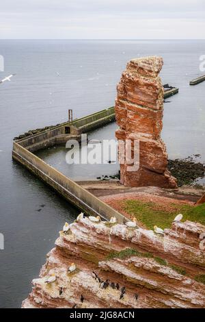 The Long Anna, Helgoland, Schleswig-Holstein, Germania, Europa Foto Stock