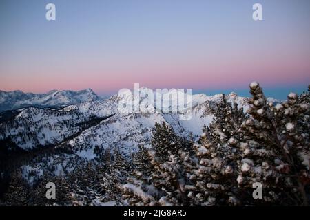 Escursione invernale attraverso la foresta di montagna a Simetsberg. Vista sull'Estergebirge con Krottenkopf, Hohe Kiste, Germania, Baviera, Walchensee, Einsiedl, Foto Stock