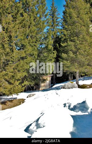 Escursione invernale nei pressi di Mittenwald, WC, capanna del gabinetto a Rehbergalm, Europa, Germania, Baviera, alta Baviera, Isar Valley, Werdenfelser Land, piccola casa nel bosco Foto Stock