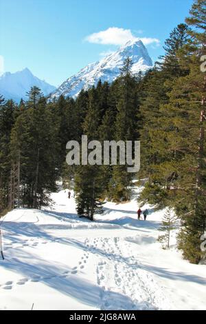 Escursionista sul toboga corsa Hoher Sattel, capanna cacciatore, paesaggio invernale, natura, Ahrn, Leutasch, Scharnitz, Seefeld, Tirolo, Austria Foto Stock