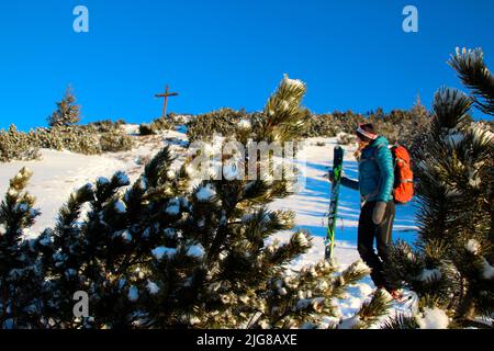 Giovane donna con sci in tour, escursione invernale attraverso la foresta di montagna a Simetsberg. PATH, Germania, Baviera, Walchensee, Einsiedl Foto Stock