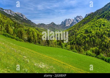 Austria, Tirolo, Kufsteinerland, Ebbs, Kaisertal contro Kaisergebirge, Vista vicino Pfandlhof Foto Stock