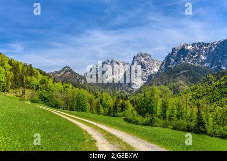 Austria, Tirolo, Kufsteinerland, Ebbs, Kaisertal contro Kaisergebirge, Vista vicino Hinterkaiserhof Foto Stock