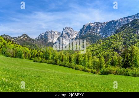 Austria, Tirolo, Kufsteinerland, Ebbs, Kaisertal contro Kaisergebirge, Vista vicino Hinterkaiserhof Foto Stock