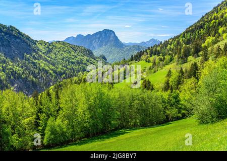 Austria, Tirolo, Kufsteinerland, Ebbs, Kaisertal contro Pendling Foto Stock