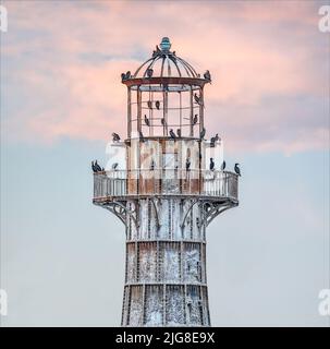 Cormorani che gironzolano nel faro di Whiteford Point situato al largo della costa a Whiteford Point vicino a Whiteford Sands, penisola di Gower, Galles del Sud, Regno Unito. Foto Stock